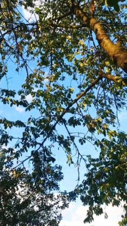 только глупые не признают своих ошибок