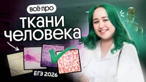 Ткани человека для ЕГЭ по биологии 2026✨