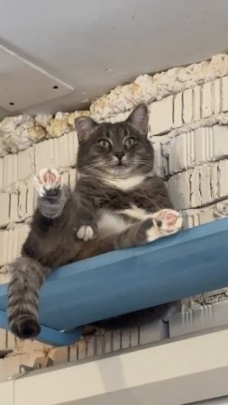 Когда вспомнил что не выключил дома утюг 😆