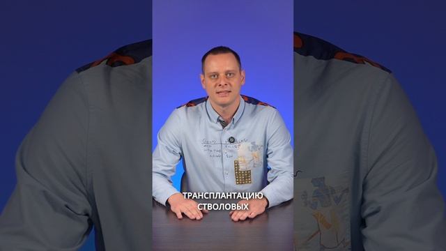 DAO-девелоперы купили остров в Карибском море, чтобы создать «крипто-утопию»