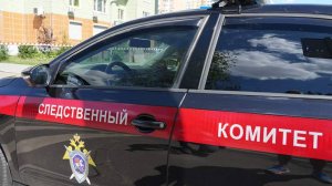 СК установил личности исполнивших песню про Бандеру подростков в Тольятти