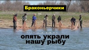 🔥Браконьеры с НЕВОДОМ опять не дали порыбачить🔥(украли РЫБУ) на Волге в Астрахани -2025 !!!