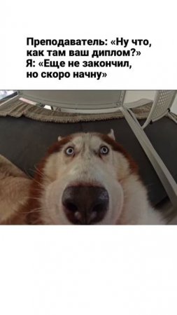 Ох, уж этот неловкий момент