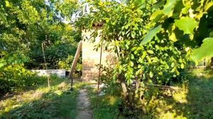 Инвестиции в дачу в сад и огород! Построил туалет, следующее видео Летний душ.mp4