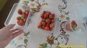 7 соток . Собираю урожай на даче и отдыхаю. Хроника 1 июля 2025 год