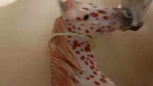 сериал 613 5 серия финал