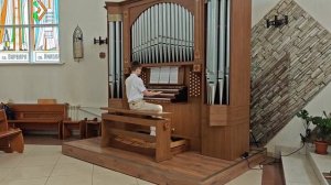 И. С. Бах "Фуга ми минор" BWV 555, исполняет Голосенко Платон