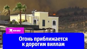 Пожары в Турции: из южных провинций эвакуировали 50 тысяч человек