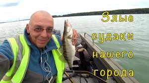 Кубок Воронежской области по СПИННИНГУ.  Ловим СУДАКА.