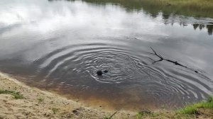 Нижданчик)