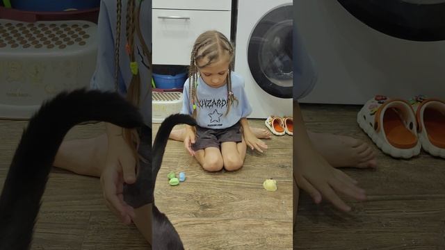 тапа игры с хомяками 🐹🐹