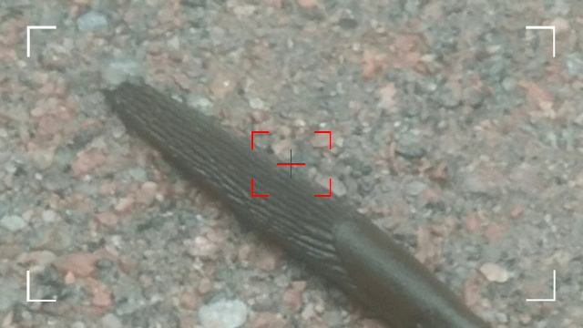 Мой влог из Питера!