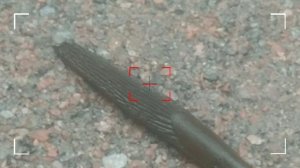 Мой влог из Питера!