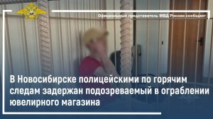 В Новосибирске полицейскими по горячим следам задержан подозреваемый в ограблении ювелирного магазин