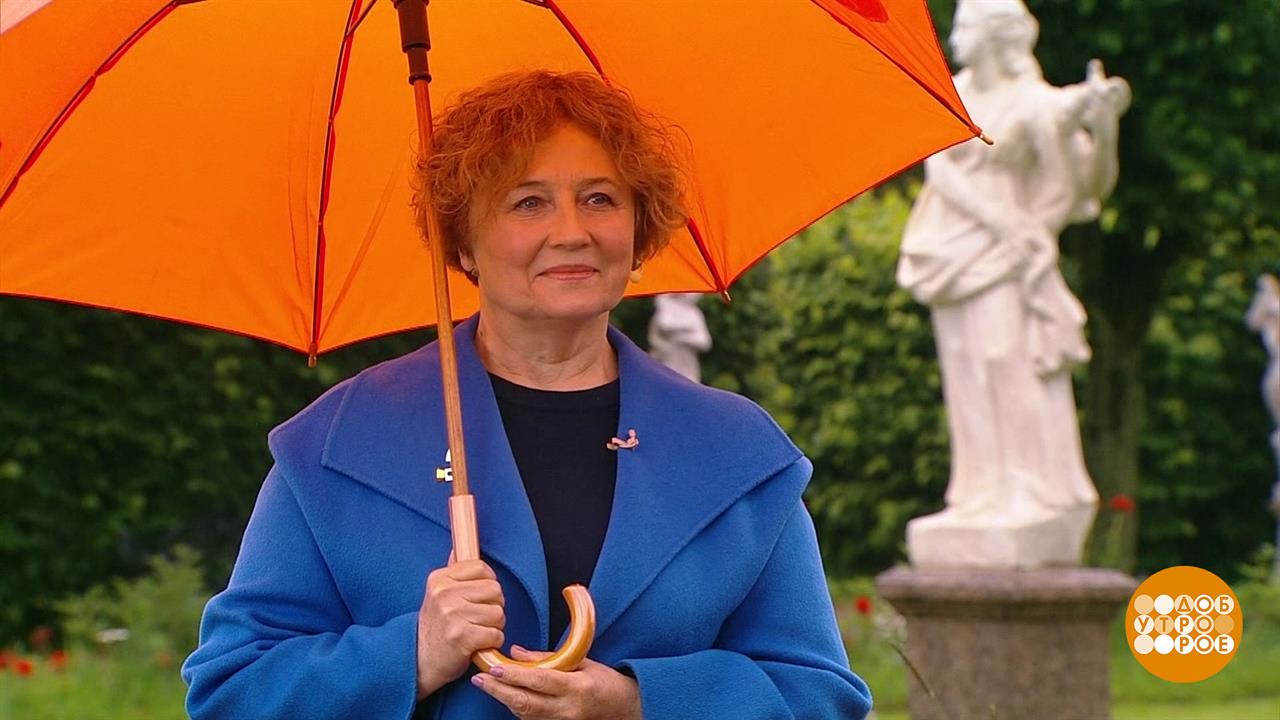 Лето начинается в июле: в Гидрометцентре уведомили о потеплении после осенних дождей