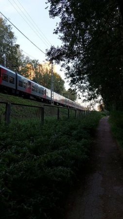 Электропоезд Ласточка в Удельном парке