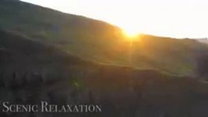 Путешествие в сердце природы: открывая красоту окружающего мира, ч.1