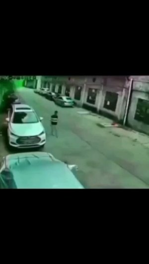 scene_output.mp4