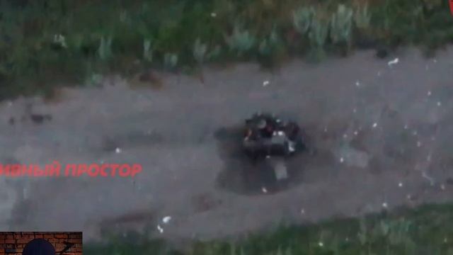 Собачкам будет что покушать