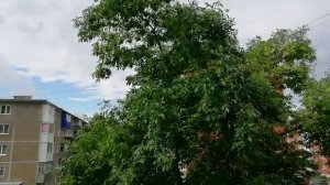 Это первое июля