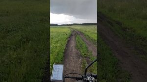 на перегонки с дождём