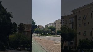 Прогулки.