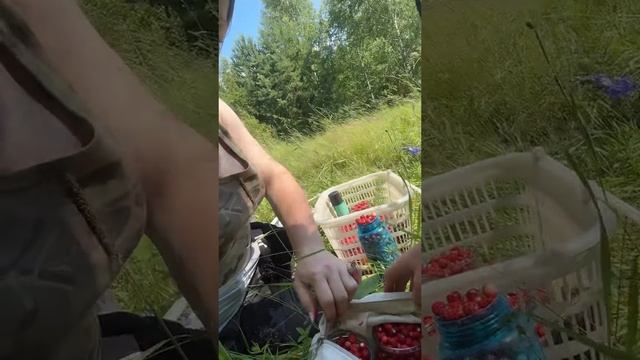 Сгоняли за ягодами #уралочка #уральскаядевушка