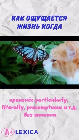 каааайф #английский #онлайншкола #мир