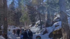 Поездка в Домбай глазами студентов!