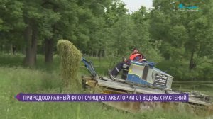 В Петербурге водоёмы очищают от водорослей