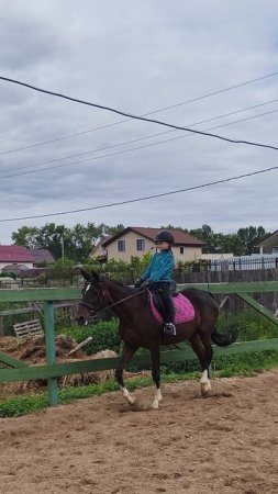 Маша и Флейта, учебная рысь на плацу.