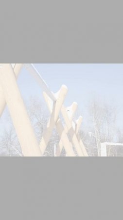 Лучшие фотографии на Canon m200 (первая серия)