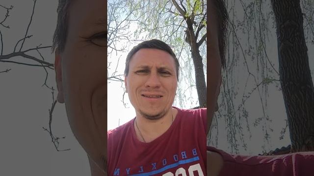 Владение смартфоном убивает деменцию — учёные провели исследование с участием 400 000 человек.