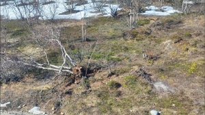 Осмотр участков на 50 км Серебрянки по Арктическому Гектару