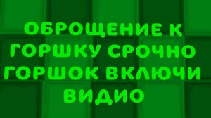 ОБРОЩЕНИЕ К ГОРШКУ А ДРУГИЕ НЕ ВКЛЮЧАЙТЕ ВИДИО ТОЛЬКО ТЫ ГОРШОК РУ ВКЛЮЧИ
