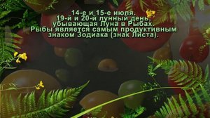 Агрогороскоп Июль 2025 Лунный посевной календарь для сада и огорода