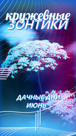 Ныряем в кружевные зонтики,☂️☂️☂️
