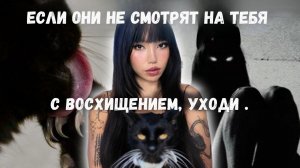 Пробуди энергию Чёрной Кошки — и жизнь сама побежит за тобой | Mae Alice Suzuki (русская озвучка)