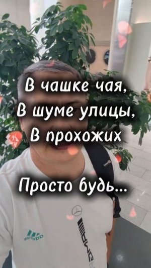 Истина здесь