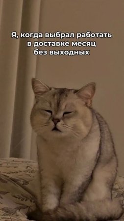 За месяц можно заработать больше, чем некоторые за год 😈