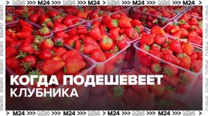 Эксперты назвали сроки снижения цен на клубнику в России - Москва 24