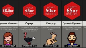 Сколько Поднимет ___