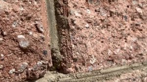 Хорошая погода летом в саду