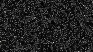 черные живые обои с белыми вьющимися белыми линиями
