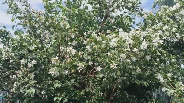 ВСЕХ С 1 ИЮЛЯ / Не мерзнем и не унываем) смотреть онлайн