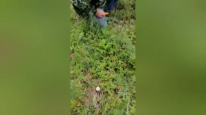 С Максом на Тихой Охоте