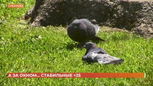 А за окном. 1 июля 2025