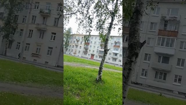 Стою у Семишагова
