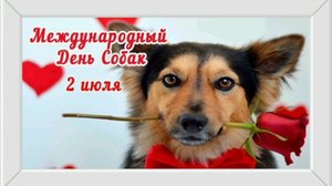 2 ИЮЛЯ- ДЕНЬ АНГЕЛОВ НА ЧЕТЫРЁХ ЛАПАХ!