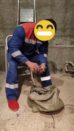 Олигарх электрик.